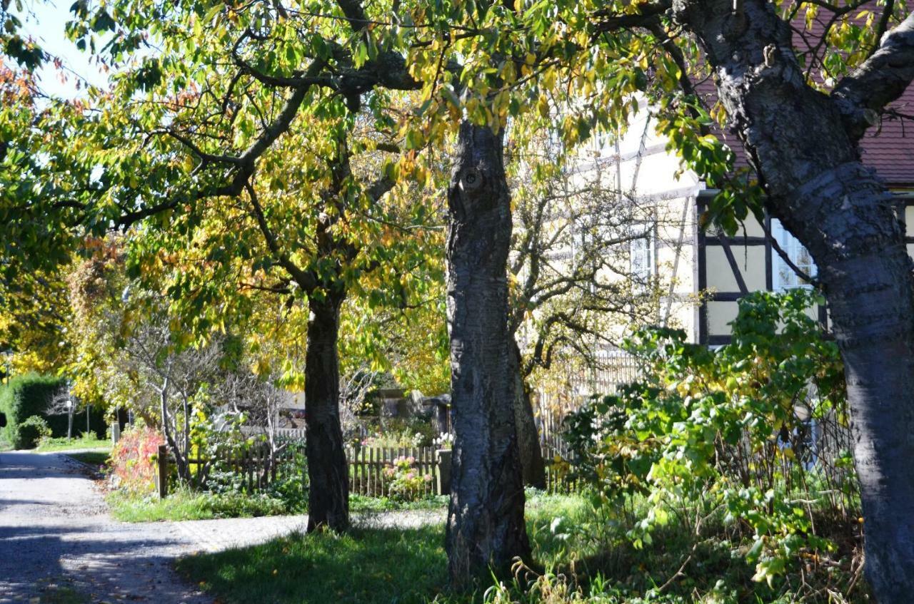 Hochlandappartement Dresden Dış mekan fotoğraf
